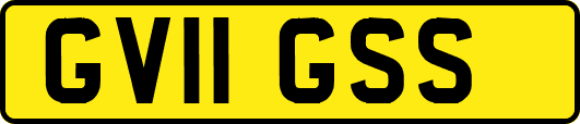 GV11GSS
