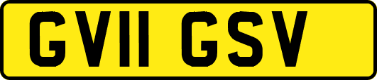 GV11GSV