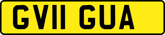 GV11GUA