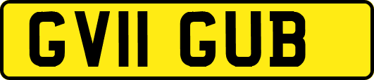 GV11GUB