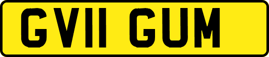 GV11GUM
