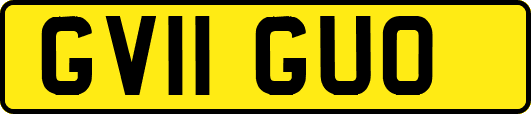 GV11GUO