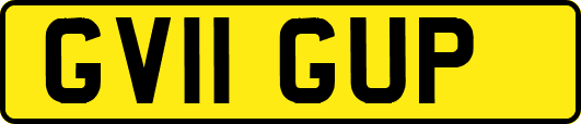 GV11GUP