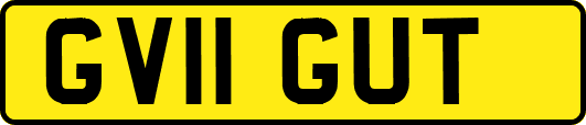 GV11GUT