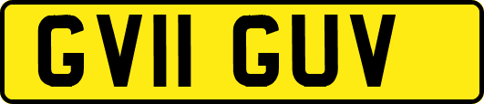 GV11GUV