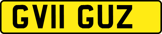 GV11GUZ