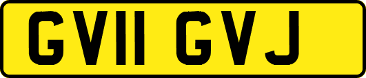 GV11GVJ