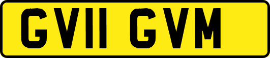 GV11GVM