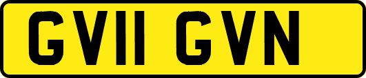 GV11GVN