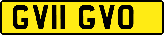GV11GVO