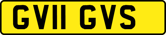 GV11GVS