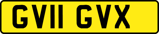 GV11GVX
