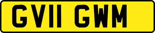GV11GWM