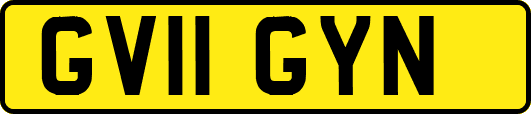 GV11GYN