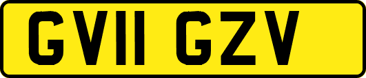 GV11GZV