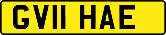 GV11HAE