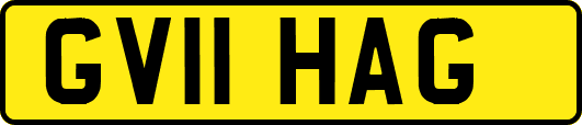 GV11HAG