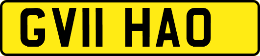 GV11HAO