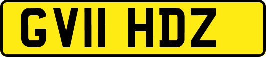 GV11HDZ