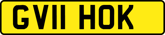 GV11HOK