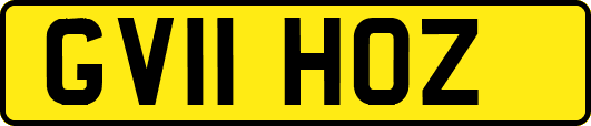 GV11HOZ