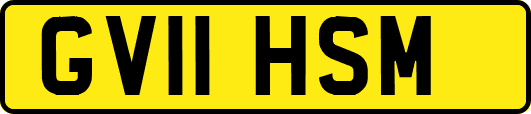 GV11HSM