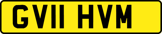 GV11HVM