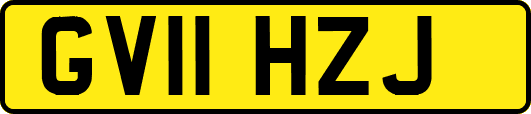 GV11HZJ