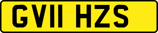 GV11HZS