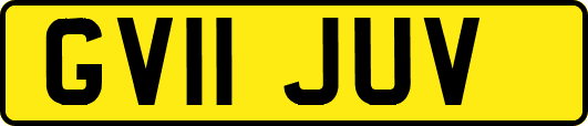 GV11JUV