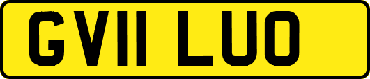 GV11LUO