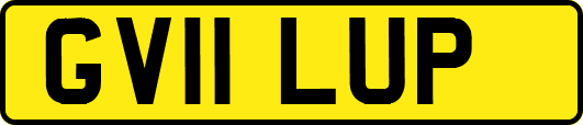 GV11LUP