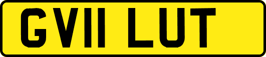 GV11LUT
