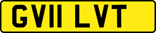 GV11LVT