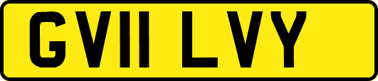GV11LVY