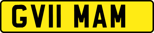GV11MAM