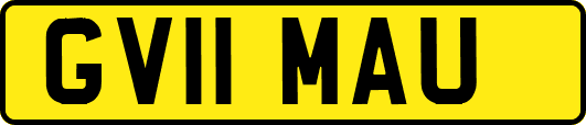 GV11MAU