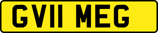 GV11MEG