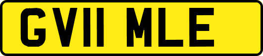 GV11MLE