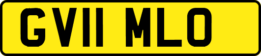 GV11MLO