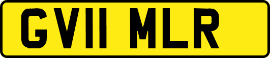 GV11MLR