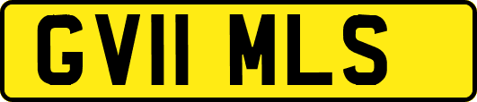 GV11MLS
