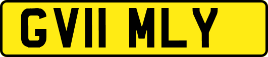 GV11MLY