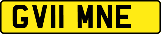GV11MNE