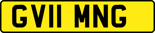 GV11MNG