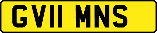 GV11MNS