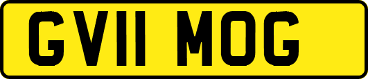 GV11MOG