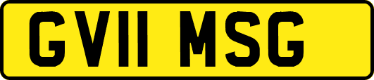 GV11MSG