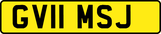 GV11MSJ