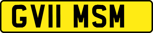 GV11MSM